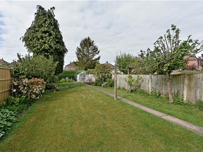Picture 24